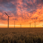 Orolig för vinterns elräkning? Få kostnadsfri vägledning av vår energi- och klimatrådgivare!