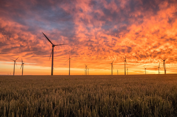 Orolig för vinterns elräkning? Få kostnadsfri vägledning av vår energi- och klimatrådgivare!