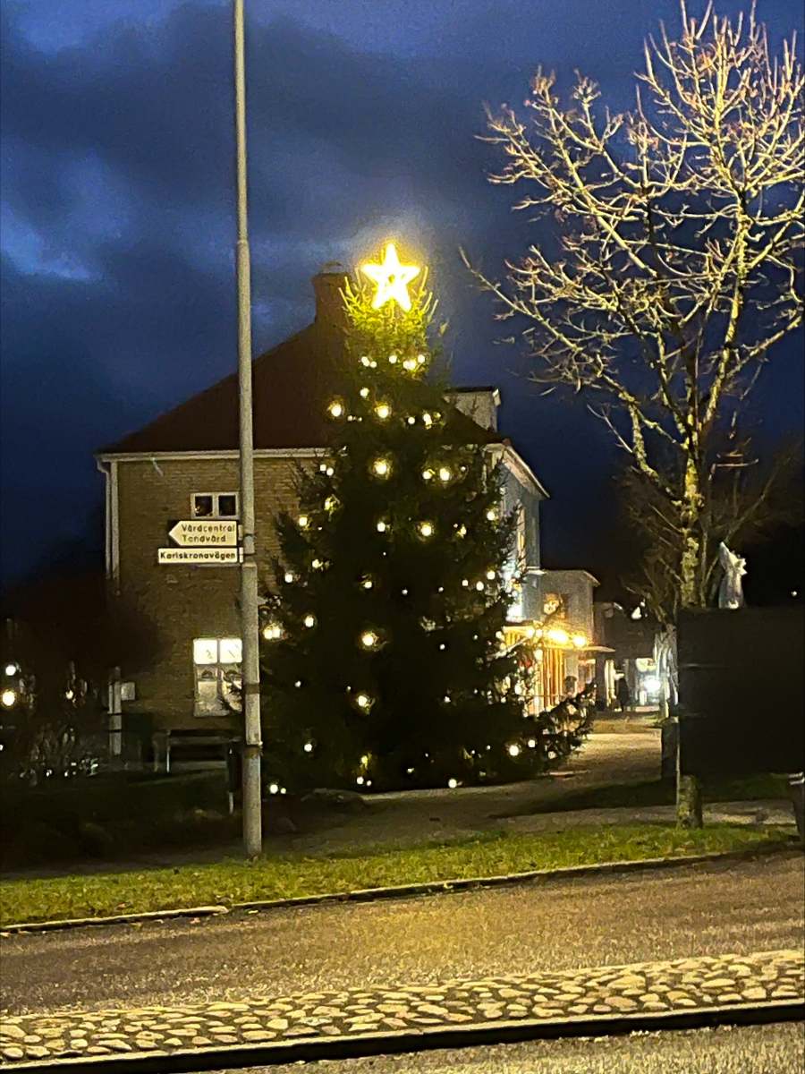 Årets julgran är nu på plats